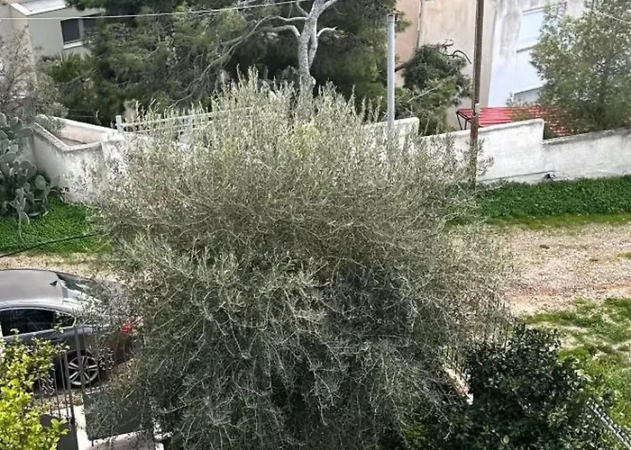 Tatil Evi And Sea Vouliagmeni Gölü